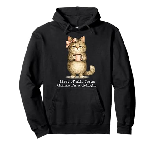 First of All Jesus Thinks I'm A Delight Cat Meme Pullover Hoodie