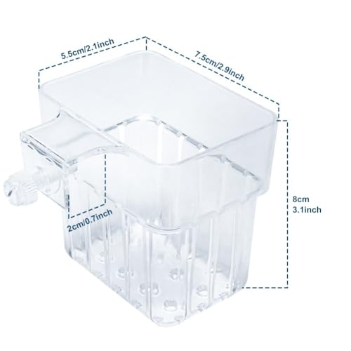 Tasse plante aquarium transparente pour décor aquaponique suspendu - 7