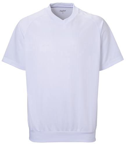 [���[�����O�X] AOS15S20 �z���C�g O