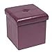 Bonlife Taboret do siedzenia z miejscem do przechowywania, składany, z pokrywką, kolor fioletowy, 30 x 30 x 30 cm