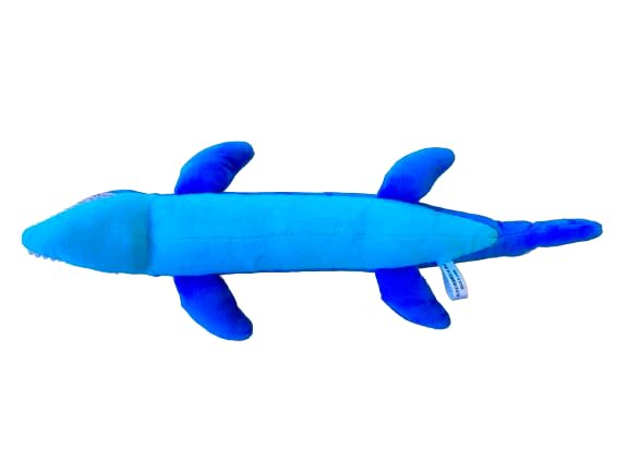 Amazon.co.jp: AQUA 恐竜 ぬいぐるみ にぎにぎ モササウルス 緑 北海道