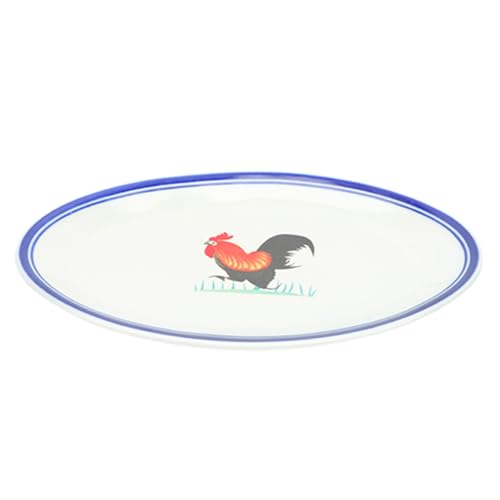 PHENOFICE 1 Pc Piatto Di Pesce Vapore Vassoio Decorativo Vassoio Degli Antipasti Piastra Da Forno Stoviglie Da Cucina Ciotole Per Criceti Coperchi Di Lattine Di Soda Smalto