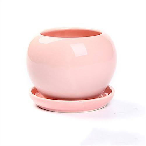 Pots de fleurs avec plateau évite les fuites d'eau rose - 2