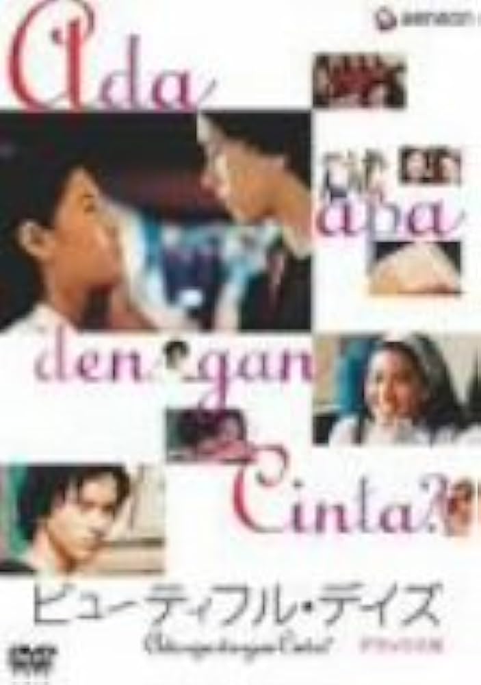 ビューティフル・サンデイ DVD Amazon.co.jp: ビューティフルサンデイ DVD 瀬奈じゅん 葛山信吾