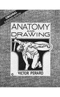 Anatomy and Drawing