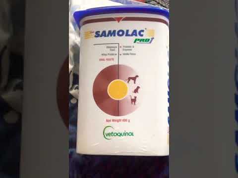 Samolac Pro Food for weaning Puppies and Kittens, 400 GMS (B07THKP22F) Amazon Price History, Amazon Price Tracker