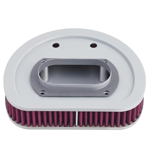 Filtre à air lavable pour résoudre les pertes de puissance FLSTCI