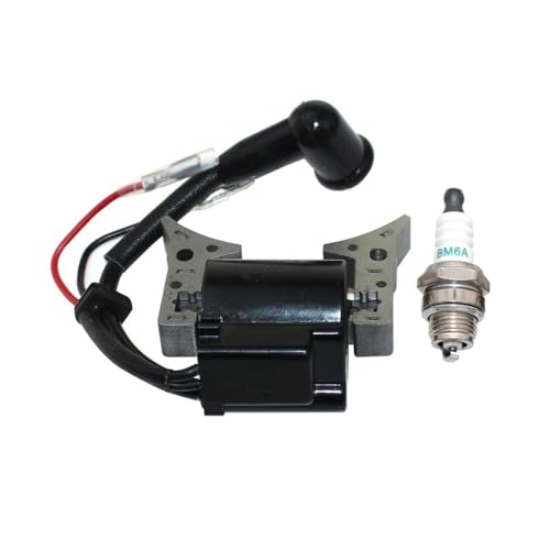 Bobine d'allumage haute performance pour GP450 et B45 - 6