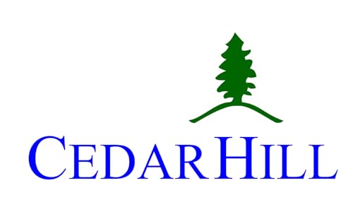 Drapeau Large Cedar Hill, Texas 1.35m² grand format pour mât extérieur - 2
