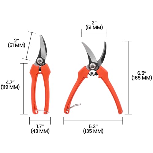 Zenport H307-12PK Tijeras de Cosecha, Naranja, Pack de 12 miniatura 5