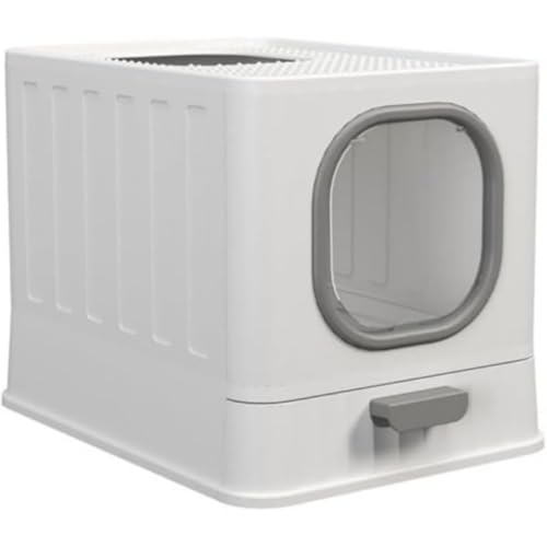 MsiDtsoy LpgC e vX`bN^ юUh~ ELR |ȒP ot  lRgC gݗĊȒP (O[)