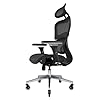 Nouhaus Ergo3D Ergonomic Office Chair Lumbar Support Mesh Office Chair with 4D Adjustable Armrest, Adjustable Headrest and Wheels, Mesh High Back Home Office Desk Chairs(Black)
