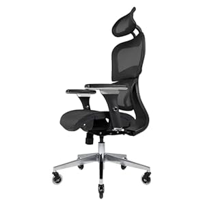 Nouhaus Ergo3D Ergonomic Office Chair Lumbar Support Mesh Office Chair with 4D Adjustable Armrest, Adjustable Headrest and Wheels, Mesh High Back Home Office Desk Chairs(Black)