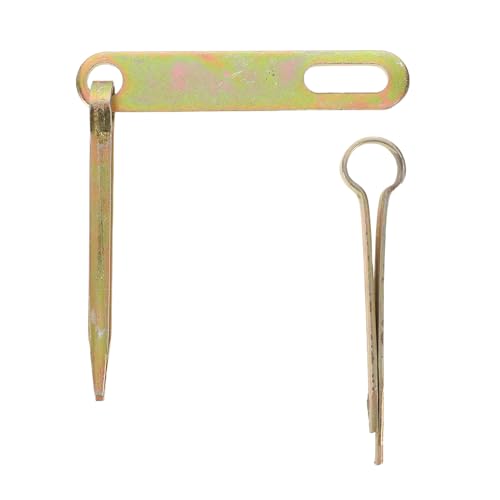 HAMPPLIES V^hAb`bN ؐhAps{g ό󐫃R[eBO ZLeB⋭ OQ[gupShA