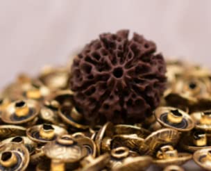 Stone Gems Gallery Nine Mukhi Rudraksha ? Beautiful Round Nepali Bead with Durga Maa Blessing for Men & Women