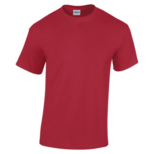Image of Gildan Men's G500 T-Shirt
