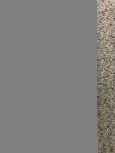 A Falcon for a Queen. 0385039301 Book Cover