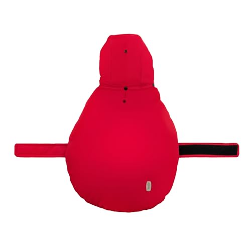 Record - Image 4