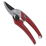 Saboten Pruning Shears for Women EX-6 (Japan Import)