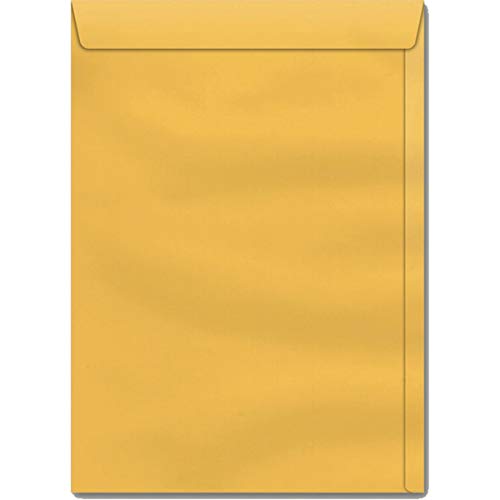 Scrity SKO025, Envelope Saco, Multicolor, Pacote de 250