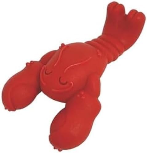 Nylabone, Extremely Strong Chew Effect, Novelty Lobster Chew Toy, Durable Chew Toy for Teeth, Steak, Small, For Dogs up to 11 kg image 4