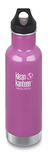 Klean Kanteen Classic Stainless Steel Double Wall Insulated Water Bottle with Loop Cap, 12-Ounce, Meadow Flower