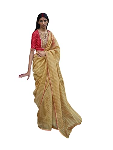 Sari en organza haut de gamme et son chemisier en soie de créateur, style indien authentique