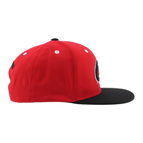 Image of ZHATS NHL Unisex-Adult NHL Officially Licensed Adjustable Snapback Hat Flat Bill Z11 Icon Two Color