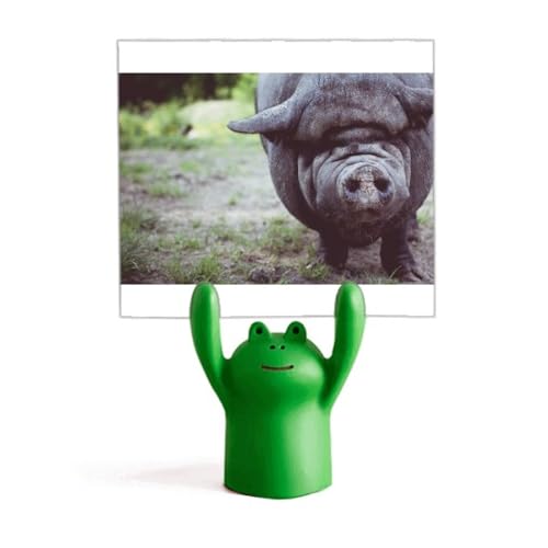 Support de photographie animalière grenouille M pour réussir les portraits de chiens en extérieur