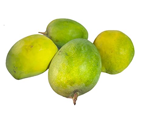 Image of Fresh Mango, Payri, 1 Kg (5-6 pcs /kg)