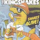 Kingsnakes - Snakes Alive - Amazon.com Music