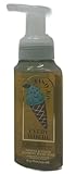 Mint N' Chip Ice Cream Gentle & Clean Foaming Hand Soap 8.75 fl oz / 259 mL