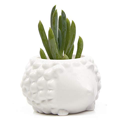 CHIVE - Set 3 Animal Pot Mouse, Hedgehog, Fox Shape Succulent Cactus Planter 3 Inch Ceramic Flower Plant Container, Indoor/Outdoor Garden and Home Decor,(White, Blue, Grey)