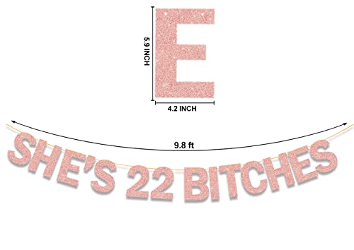 Image of She's 22 Bitches Banner 22nd Birthday Decorations for Women, Funny Glitter 22nd Birthday Banner, Rose Gold