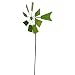 Alpine KIY102GN Metal Windmill Stake, 52" Multicolor