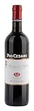 pio cesare barolo 2014 review  Pio Cesare Barbera d\'Alba 2021