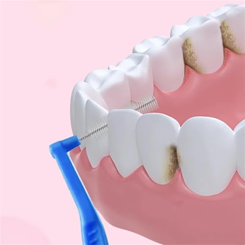 Brossettes interdentaires et bâtonnets de fil dent en L précis - 3