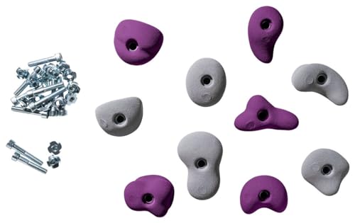 Poignées d'escalade pour enfants lot de 10 prises multicolores avec fixations