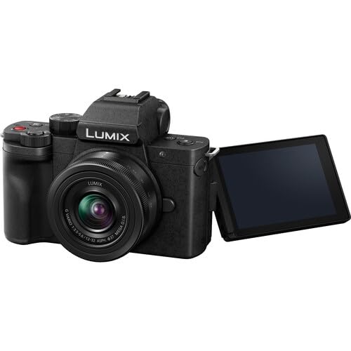 Panasonic LUMIX G100D ボディ Panasonic Lumix DC-G100D Body (Kit