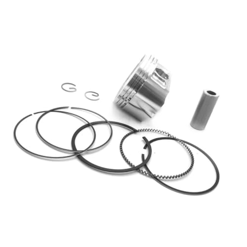 Conjunto de pistón apto para Kazuma Jaguar J500 y Xinyang 500 ATV