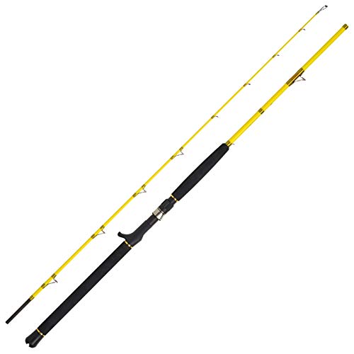 WFT Sea Dart 20lbs 50-240g 2,10m