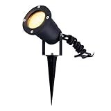 Ledvion
