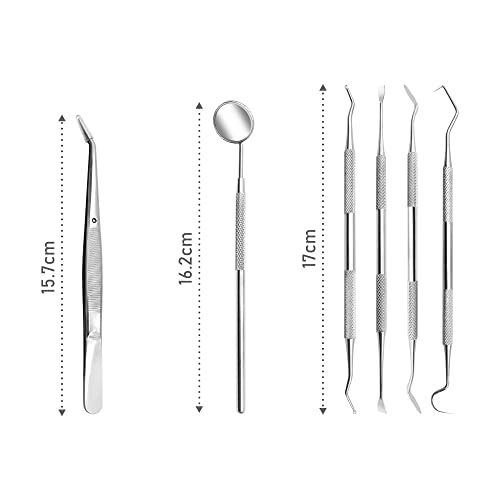 Plaque Remover for Teeth Portable Dental Tools Stainless Steel Dental Picks for Teeth Cleaning Oral Care for Adults Kids and Pets Tartar Remover for Teeth with Case for Daily Use