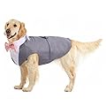 Dog Wedding Outfit, Tuxedo Cat Dog Costume Tuxedo bandana Shirt for dachshund Dog Waistcoat Small/Medium/Large/Dog tuxedo(Grey, XXL)