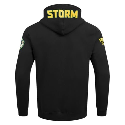 Image of Pro Standard Mens WNBA Classic Chenille Pull Over Hoodie