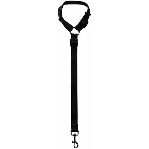 Seven Fox  ybg V[gxg [h n[lX L p Ԃɏ悹ĂS  ^] hCu (ubN)