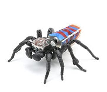 いきもの大図鑑　ピーコックスパイダー　全5種コンプリートセット　新品未開封品① Amazon.co.jp: いきもの大図鑑 ピーコックスパイダー 全5種類
