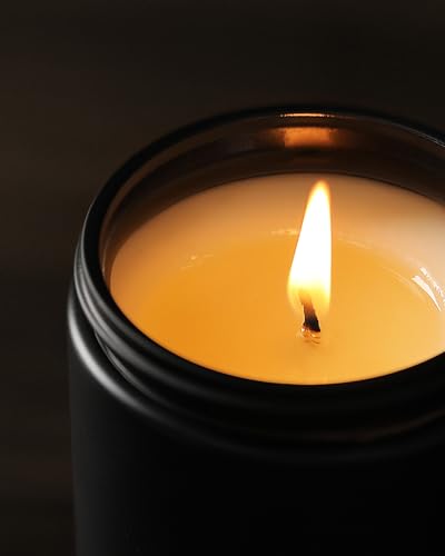 AOOVOO Duftkerzen Männer im Glas - Mahagoni & Teakholz duftend, Natürliche Sojawachskerze Geschenk für Frauen Männer, 255g, 50 Stunden Brenndauer
