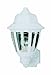 Thomas Lighting SL94408 Outdoor Essentials Outdoor Wall Lantern, Matte White