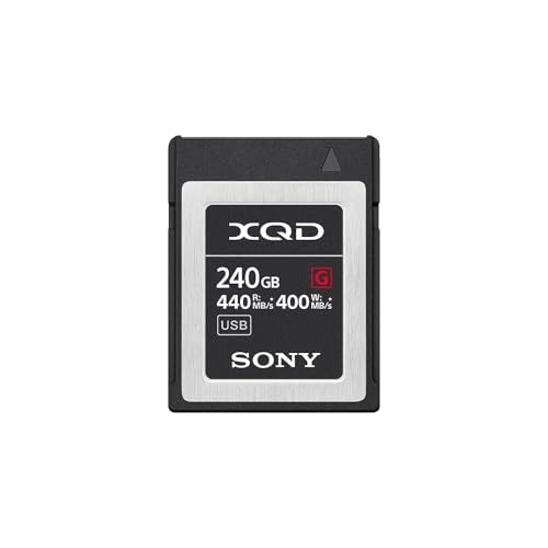 Sony Qdg240 F 240 Go Carte memoire Flash